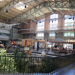 The Little Chicken Teriyaki - There are so many restaurants inside the Armory!