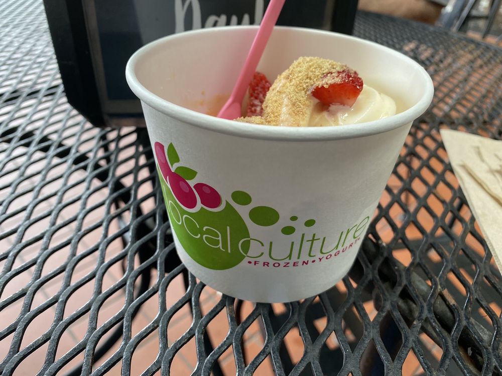 LOCAL CULTURE FROZEN YOGURT 11 Photos & 15 Reviews 500 Russell St