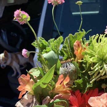 The Floral Craft - Fresh w/ droplets - Florists Near Me - La Mesa, California The Floral Craft - Fresh w/ droplets - Florists Near Me - La Mesa, California