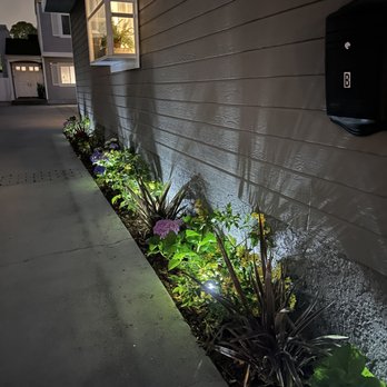 Amado Landscaping - Beautiful landscaping even at night! - Landscaping Near Me - Hawthorne, California