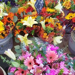 Promenade Temecula Farmers Market