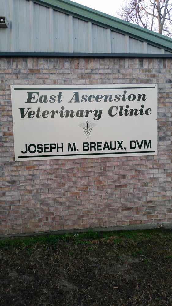 EAST ASCENSION VETERINARIAN CLINIC 10 Reviews Veterinarians 40159