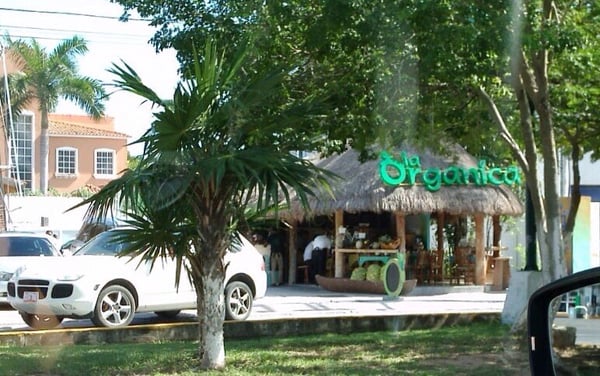 El Huerto del Edén by null