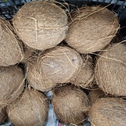 Spice House of Longwood - Coconut