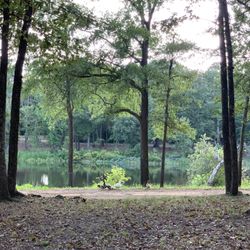 Lower City Lake