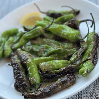 THE COVE RESTAURANT & OYSTER BAR - TEMP. CLOSED - Updated January 2025