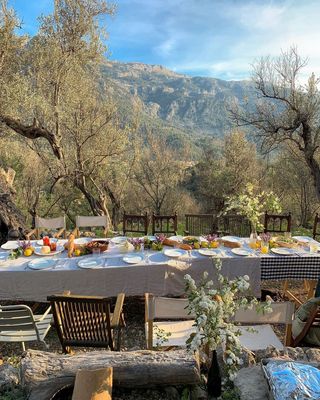 Lemons and Olives by null