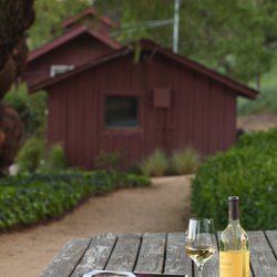 Lincourt Vineyards