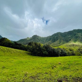 Kualoa Ranch - Views - Tours Near Me - Kaneohe, Hawaii