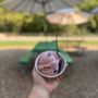 Photo of Mad Dog's Creamery & Donuts