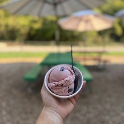 Mad Dog's Creamery & Donuts - Black Cherry