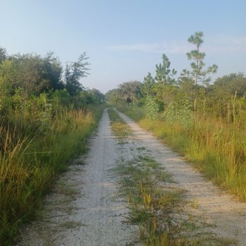 Hal Scott Preserve - Parks Near Me - Orlando, Florida
