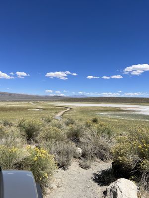 Wild Willy's Hot Spring by null