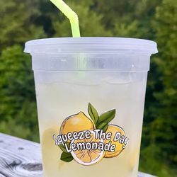 Squeeze The Day Lemonade