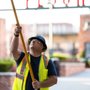 Photo of Premier Tree Care