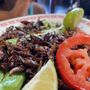 Photo of Sabores De Oaxaca