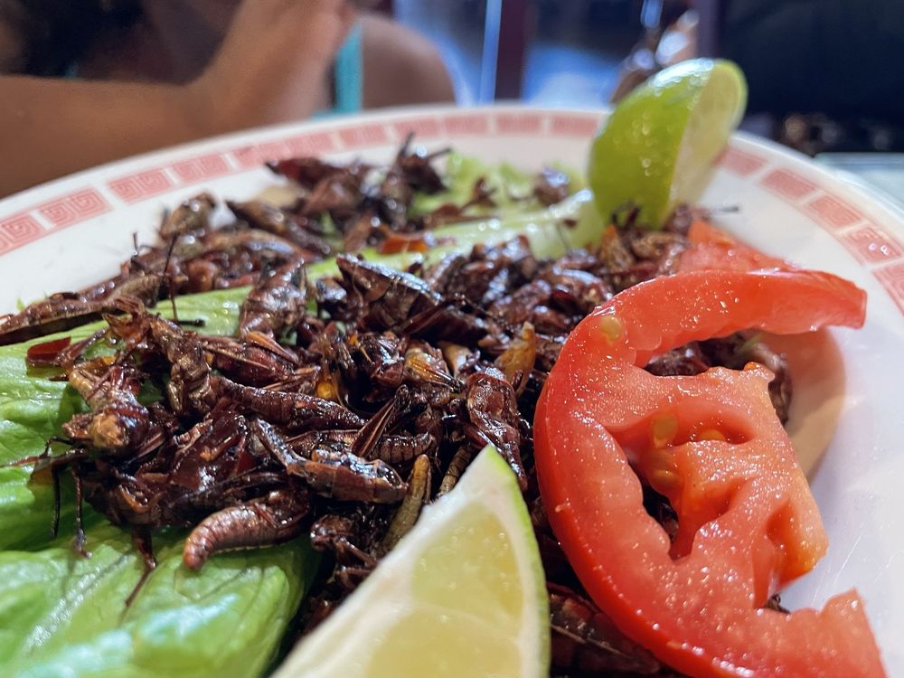Sabores De Oaxaca
