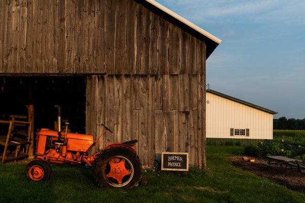 Bremer Produce U-Pick Flower Farm by null