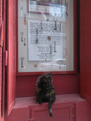 The Museum of Innocence by null