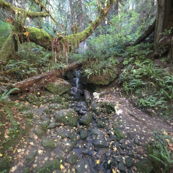 Trillium Falls Trail - Hiking Near Me