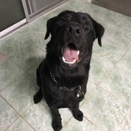 Cooper training session with his momma with the click trainer.