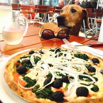 Bella Italia - Yummy own creation pizza - Italian Near Me - Munich, BY Bella Italia - Yummy own creation pizza - Italian Near Me - Munich, BY