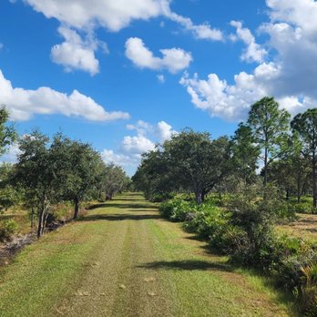 Lightsey Family Ranch - Venues & Event Spaces Near Me - Venus, Florida Lightsey Family Ranch - Venues & Event Spaces Near Me - Venus, Florida