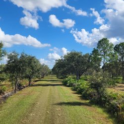 Lightsey Family Ranch