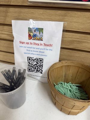 Bird Paradise by null