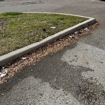 CVS Pharmacy - More garbage in their parking lot - Drugstores Near Me - Davenport, Florida