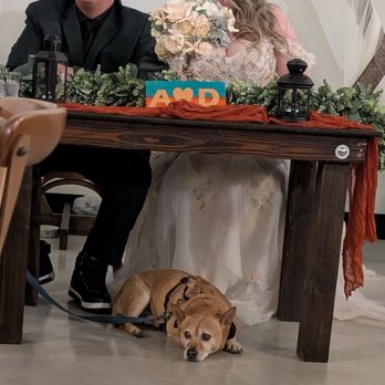 A Simple Affair Events - Venues & Event Spaces Near Me - Las Vegas, Nevada A Simple Affair Events - Venues & Event Spaces Near Me - Las Vegas, Nevada