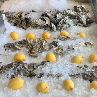 Hog Island Larkspur by null