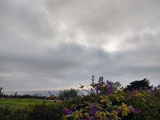 Del Mar by null