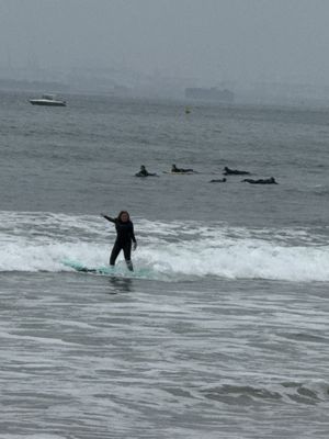Corky Carroll's Surf School by null