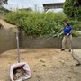 Photo of The Doggo Scoop
