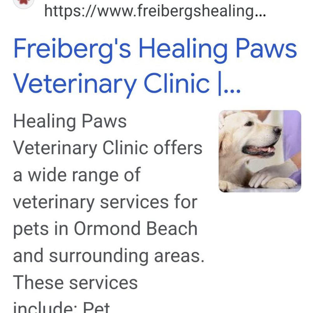 Save the Animals Store - Healing Paws - Thrift Stores Near Me - Port Orange, Florida