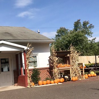 Penn View Farm - Penn View Dairy all decked out and ready for fall! - Farmers Market Near Me - Perkasie, Pennsylvania Penn View Farm - Penn View Dairy all decked out and ready for fall! - Farmers Market Near Me - Perkasie, Pennsylvania