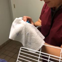 Integrative Animal Health Center - Victoria Papscoe injuring my parakeet. Do not go here.