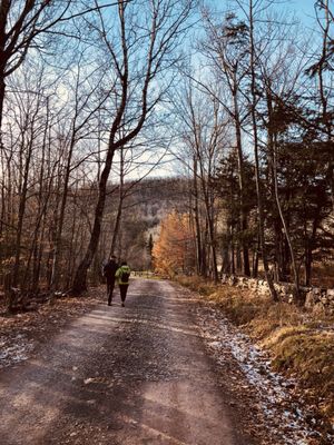 Mountain Top Arboretum by null