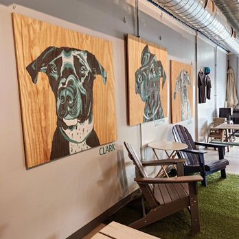 Cincy Sammys - a dog's face on wood panels - Desserts Near Me - Mason, Ohio