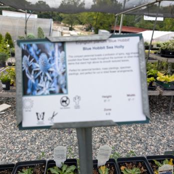 Soviero's Tri-County Garden Center & Feed - One I had not seen before - Landscaping Near Me - High Point, North Carolina Soviero's Tri-County Garden Center & Feed - One I had not seen before - Landscaping Near Me - High Point, North Carolina