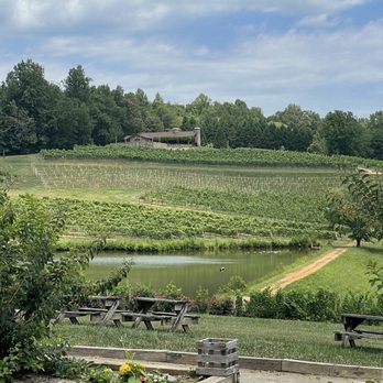 Crane Creek Vineyards - The vineyard - Wineries Near Me - Young Harris, Georgia Crane Creek Vineyards - The vineyard - Wineries Near Me - Young Harris, Georgia
