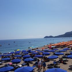 Flamingo Beach