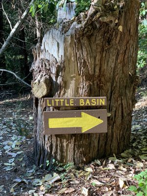 Little Basin Cabins Campground 144 Photos 55 Reviews