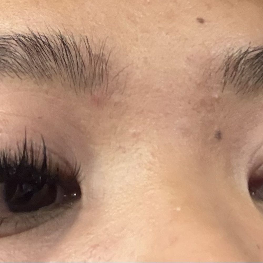 I paid for volume set, and told her I wanted a wispy cat eye. Showed photos too. It's the same length all throughout with a few spikes. I paid for volume set, and told her I wanted a wispy cat eye. Showed photos too. It's the same length all throughout with a few spikes.
