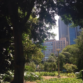 Hyde Park - Nature in the city's jungle. - Parks Near Me - Sydney, NSW