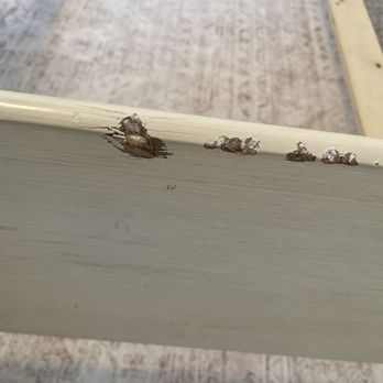 Fast Masters Movers - I need a ruler to show that this actually goes a good foot &quarter size gouge and nicks everywhere - Movers Near Me Fast Masters Movers - I need a ruler to show that this actually goes a good foot &quarter size gouge and nicks everywhere - Movers Near Me