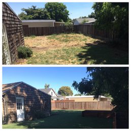 Before and after: Before and after: