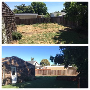 Sod And Seed - Before and after: - Nurseries & Gardening Near Me - Concord, California Sod And Seed - Before and after: - Nurseries & Gardening Near Me - Concord, California