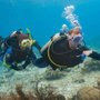 Photo of Sierra Scuba
